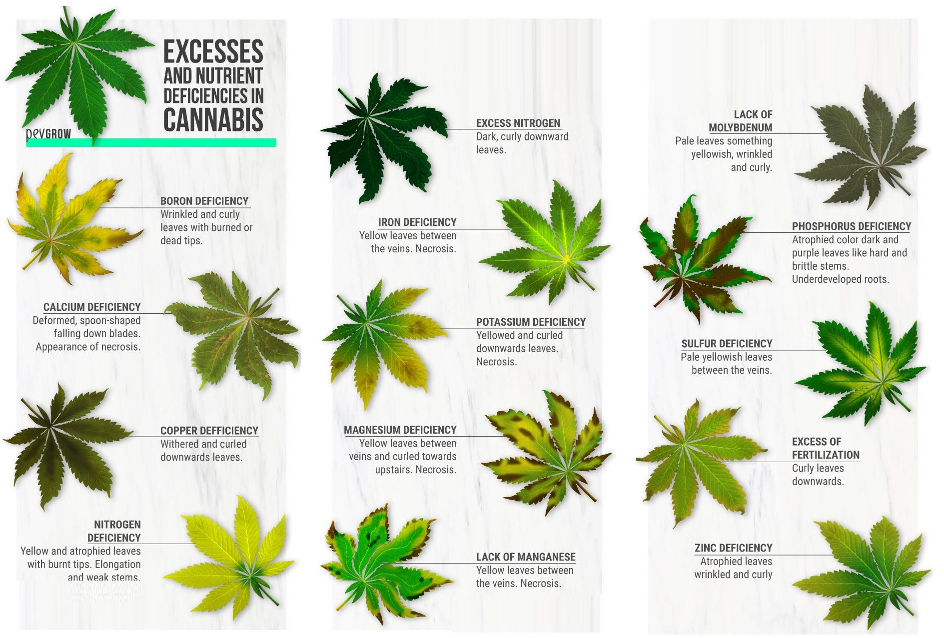 Leaf Deficiency Chart Weed